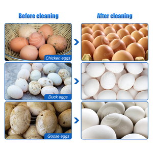 Orme công nghiệp thép không gỉ trứng rửa máy sấy trứng sạch bàn chải gà trứng Thiết bị làm sạch - Product Image 2