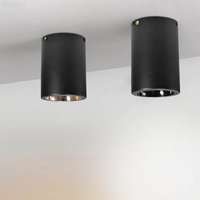 12W 15W 18W 20W 30W 40W 50W Anti-éblouissement Plafonnier rond encastré Cylindre LED Downlight COB Spot Lights Downlights