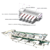 Machine de tri et de calibrage des fruits et légumes, pour usines de traitement des noix, modèle multifonctionnel 220/380V 750W