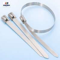 Attaches-câbles autobloquantes en acier inoxydable de haute qualité de la marque CHSL, 4,5 x 1050 mm, pour câbles électriques, certifiées ROHS, robustes