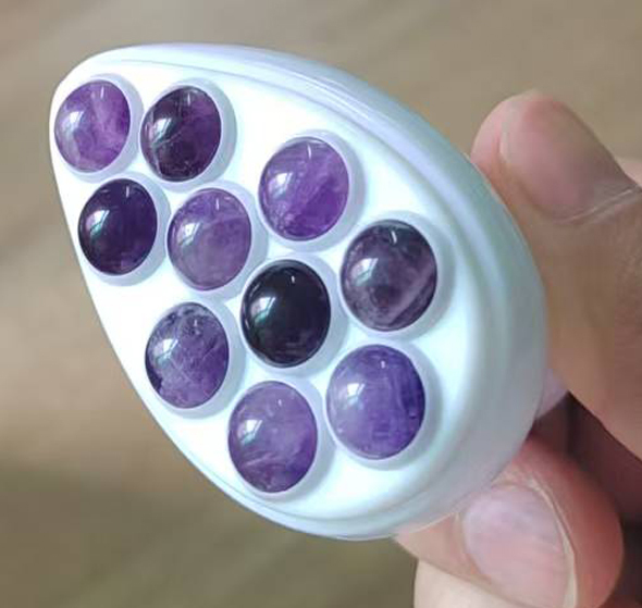 Viola