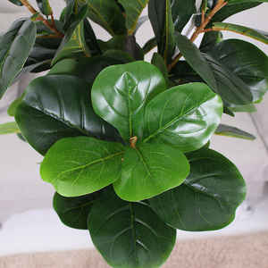 Trong nhà nhân tạo ficus lyrata cây PEVA <span class=keywords><strong>fiddle</strong></span> lá cây làm bằng nhựa bền - Product Image 4