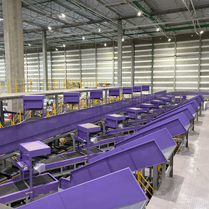 Автоматизированная ленточная сортировочная машина Truelisort: высокоточная сортировочная система для курьерских служб, почтовых отправлений и центров обработки заказов - Product Image 5