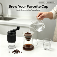 Moulin à café manuel de précision avec 30 réglages, broyeur à meules céramiques, manivelle, capacité de 25g, portable pour bureau et hôtel