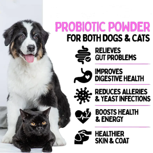 Suplemento nutricional para el cuidado de los riñones para mascotas Tabletas masticables para la protección de la salud de las mascotas - Product Image 4