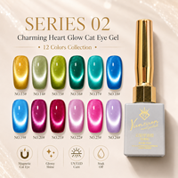 Yunzuan 15ml UV LED Soak Off Cat Eye Gel Polish Dreamy Glitter Magnetic Nail Gel 12 Couleurs OEM ODM