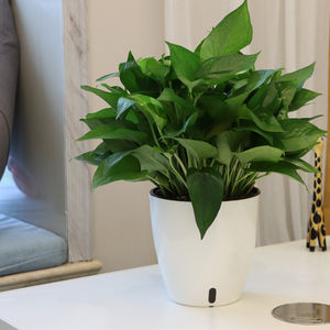 <span class=keywords><strong>Maceta</strong></span> de plástico moderna de alta calidad a bajo precio, <span class=keywords><strong>maceta</strong></span> redonda de orquídeas con riego automático, decoración de plantación blanca para escritorio, hogar y oficina - Product Image 2