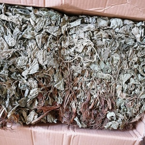 LAN Bu Zheng เอเชียสมุนไพร bennet <span class=keywords><strong>ชา</strong></span>ป่าทั้งแห้ง geum japonicum เหนือพื้นดิน - Product Image 6
