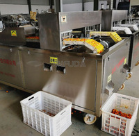 Machine automatique de dénoyautage de fruits Machine de dénoyautage d'extrait de graine de datte de pin