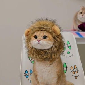 Chapeau pour animaux de compagnie, ours mignon, tendance 2026, déguisement pour chat, couvre-chef pour animaux de compagnie, vêtements pour chat, chapeau d'hiver, différents styles de couvre-chef pour <span class=keywords><strong>chien</strong></span> et chat - Product Image 6