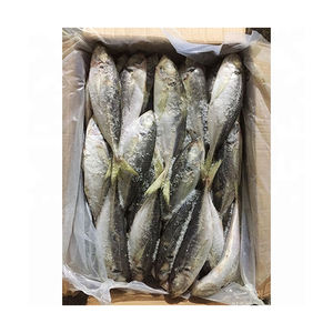 23 ס "מ + קרקע קפואה bqf סיטוני סוס <span class=keywords><strong>mackerel</strong></span>/trachurus rachurus traachurus - Product Image 4