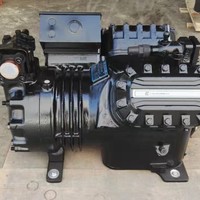 Pour compresseur de réfrigération semi-fermé Danfoss Copeland pour stockage à froid matériau métallique 150kg poids 1 an de garantie 3-60P