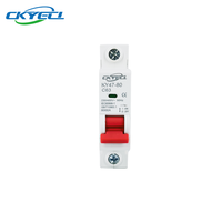 Disjoncteur vide ouvert Miniature interrupteur d'air MCB cuivre 1P 1-63A AC 230V basse tension 6KA capacité de rupture court-circuit