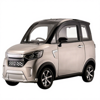 Certificat EEC COC L6e, mini-voiture écologique de ville, fermée, 2 places pour adultes, véhicule électrique à énergie nouvelle avec moteur de 2 kW