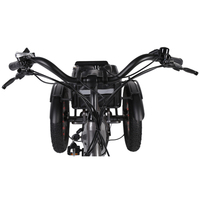 BAFANG ebike bosch moteur 500 watts 7 vitesses 3 roues vélo de ville électrique cargo cadre de vélo reverse etrike pour voyager avec des enfants