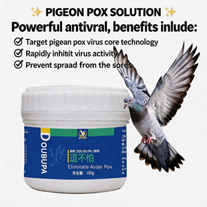 Élimination Efficace de la Variole Aviaire du <span class=keywords><strong>Pigeon</strong></span> : Guérison et Prévention Naturelle et Sûre des Lésions Cutanées, Prévention des Épidémies, Contrôle des Maladies, Grains 100g - Product Image 2