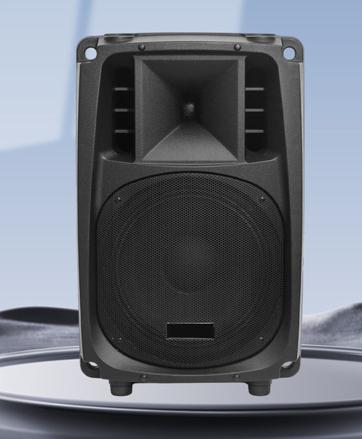 MS128FX 8-Channel 12-Inch 100W for V5.0 Wireless Portable Speaker Built-in Mic 8000mAh Plastic Battery for Outdoor Use