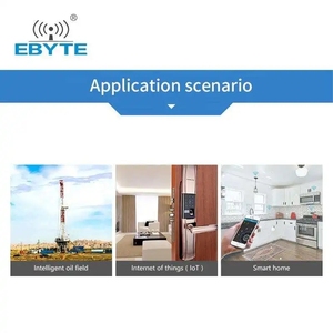 Ebyte ODM E70-915NW14S โซลูชัน IoT ไร้สาย 200 โหนด ระบบเครือข่าย Star Hoc 915mhz โมดูลรับส่งสัญญาณ RF สำหรับการเกษตรอัจฉริยะ - Product Image 6