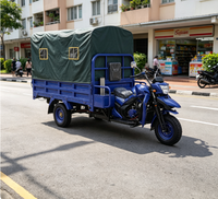 Tricycle motorisé à benne basculante pour le transport de marchandises, modèle populaire d'usine