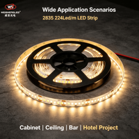 Bande LED flexible haute luminosité DC24V 224LEDs/m SMD2835, température de couleur 3000K-6000K, éclairage paysager à corps en cuivre.