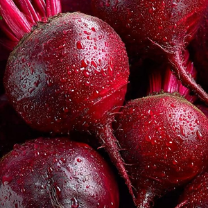 Variété de Betterave Rouge Foncé de Détroit de Qualité Supérieure avec Croissance Vigoureuse, Taille de Racine Exceptionnelle et Produit Agricole Fiable - Product Image 1
