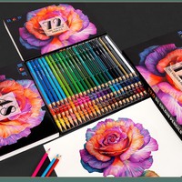 Lot de crayons gras 48/72/120 couleurs en boîte PP – Fournitures d'art pour l'école, les étudiants, le graffiti et la peinture – Vente en gros personnalisée