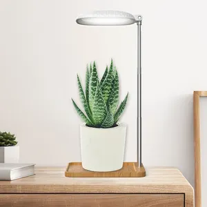 Tam spektrum masa bitki büyümek lamba için LED ışık kaynağı dim zamanlama ile ev ofis kullanımı için mikro peyzaj sebze büyüme