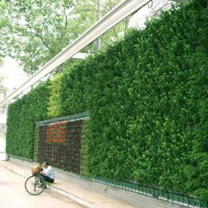 Systèmes de culture hydroponique pour la maison et le jardin, système de mur vert vertical, pot de plante - Product Image 6