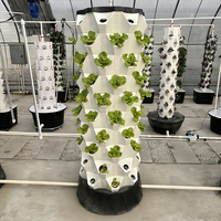 Systèmes hydroponiques en tour verticale, équipement de culture intérieur facile à installer pour les herbes, les légumes et les plantes d'intérieur