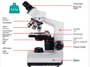 <span class=keywords><strong>XSZ</strong></span>-<span class=keywords><strong>107BN</strong></span>双眼滑らかな40-1600倍の生物顕微鏡 - Product Image 6