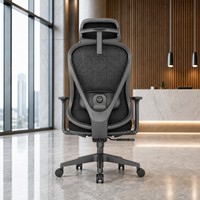Chaise de bureau ergonomique en maille, chaise de direction pivotante à roulettes avec appui-tête réglable et soutien lombaire pour poste de travail de personnel de bureau