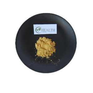 Bodybuilding integratori commercio all'ingrosso naturale tamburo imballaggio per uso alimentare Sparassis Crispa estratto in polvere per la sanità - Product Image 4