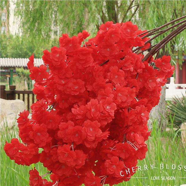 Crittografia 3 fork rosso