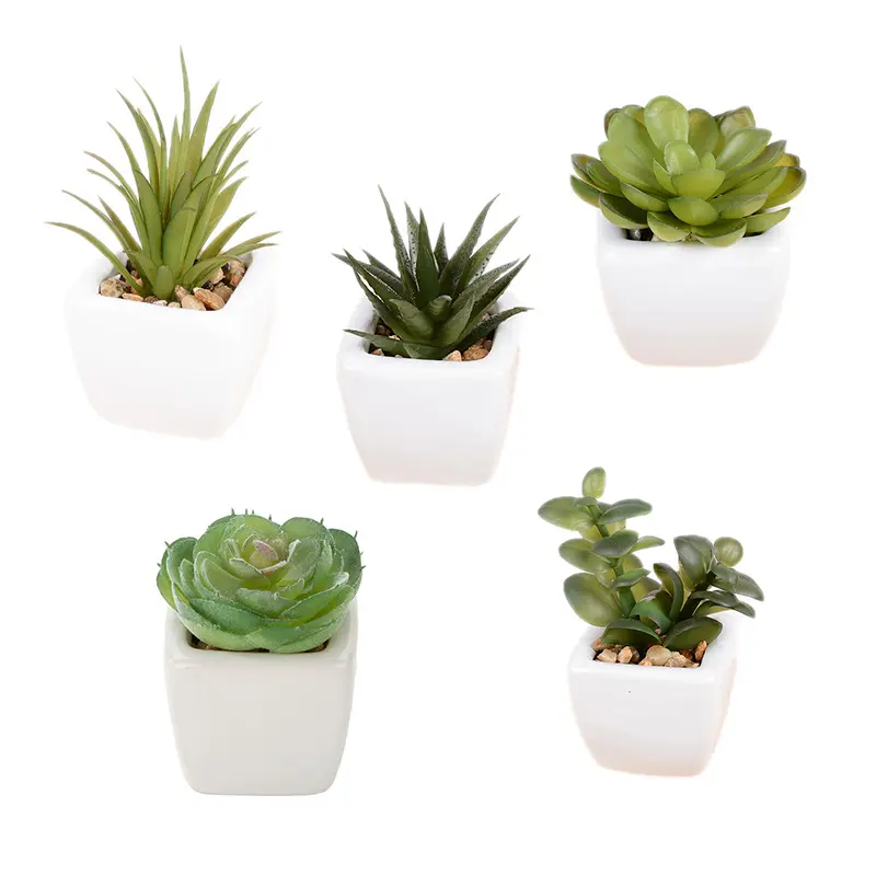 Mini plantas suculentas artificiales con maceta para decoración del hogar, suculenta Artificial con maceta de cerámica