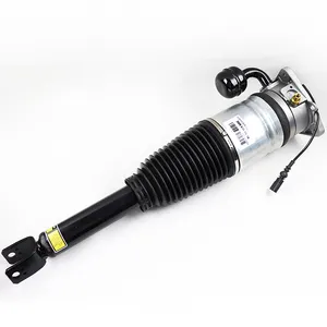 3W0616001 3W0616002 Rear Air Suspension Strut Shock For Bentley Continental Flying Spur