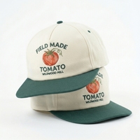 Gorra de Béisbol Unisex Retro de Dos Tonos con Visera Plana, 6 Paneles, Estructurada, de Sarga de Algodón, con Logotipo Bordado Personalizado