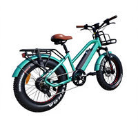 Vélo électrique pour enfants de 20 pouces avec pneus larges, moteur Bafang 750W, batterie au lithium 48V, frein mécanique sur fourche avant, écran LCD, 7 vitesses, vente en gros