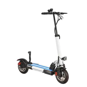 自平衡可折叠350 -500W 8-10英寸车轮强力成人和儿童欧盟和美国仓库电动滑板车