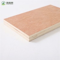 Contrachapado de Álamo Pre-Laminado de Alta Resistencia de 18 mm con Recubrimiento Fenólico E0, Tablero de Encofrado Reutilizable