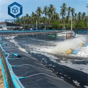 0.3Mm 0.5Mm HDPE Pond Liners 0.75Mm 1.0Mm Udang Pertanian Pond Liner HDPE Tangki Ikan Geomembran untuk Akuakultur Di Peru