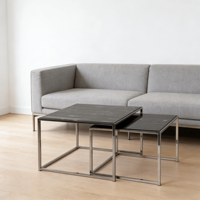 Ensemble de tables basses gigognes 2 pièces modernes et minimalistes, hauteur réglable, structure en acier inoxydable poli, plateau en verre trempé noir