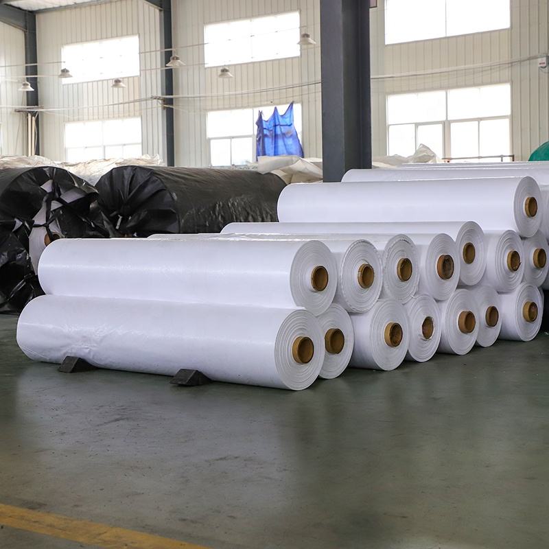 Anti Rafia Polypropylene Laminated PP Woven Fabric Roll - GRS CE Certified