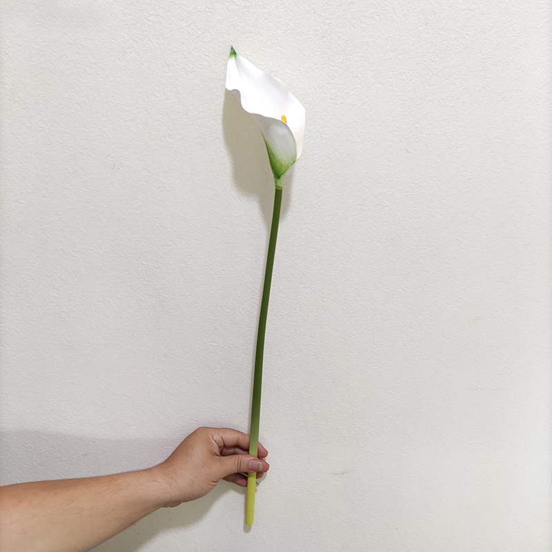 YL80450 blanc