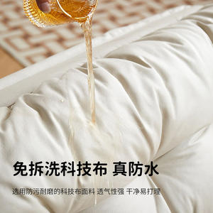 Sofá Cama Plegable Oudoubao, Tamaño Doble, con Respaldo, para Dormitorio, Silla para Dormir en el Suelo - Product Image 3