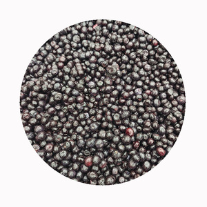 IQF 냉동 블루 베리 전체 | 천연, 첨가제 없음 | 식품 산업 고객을위한 일관된 공급 - Product Image 5