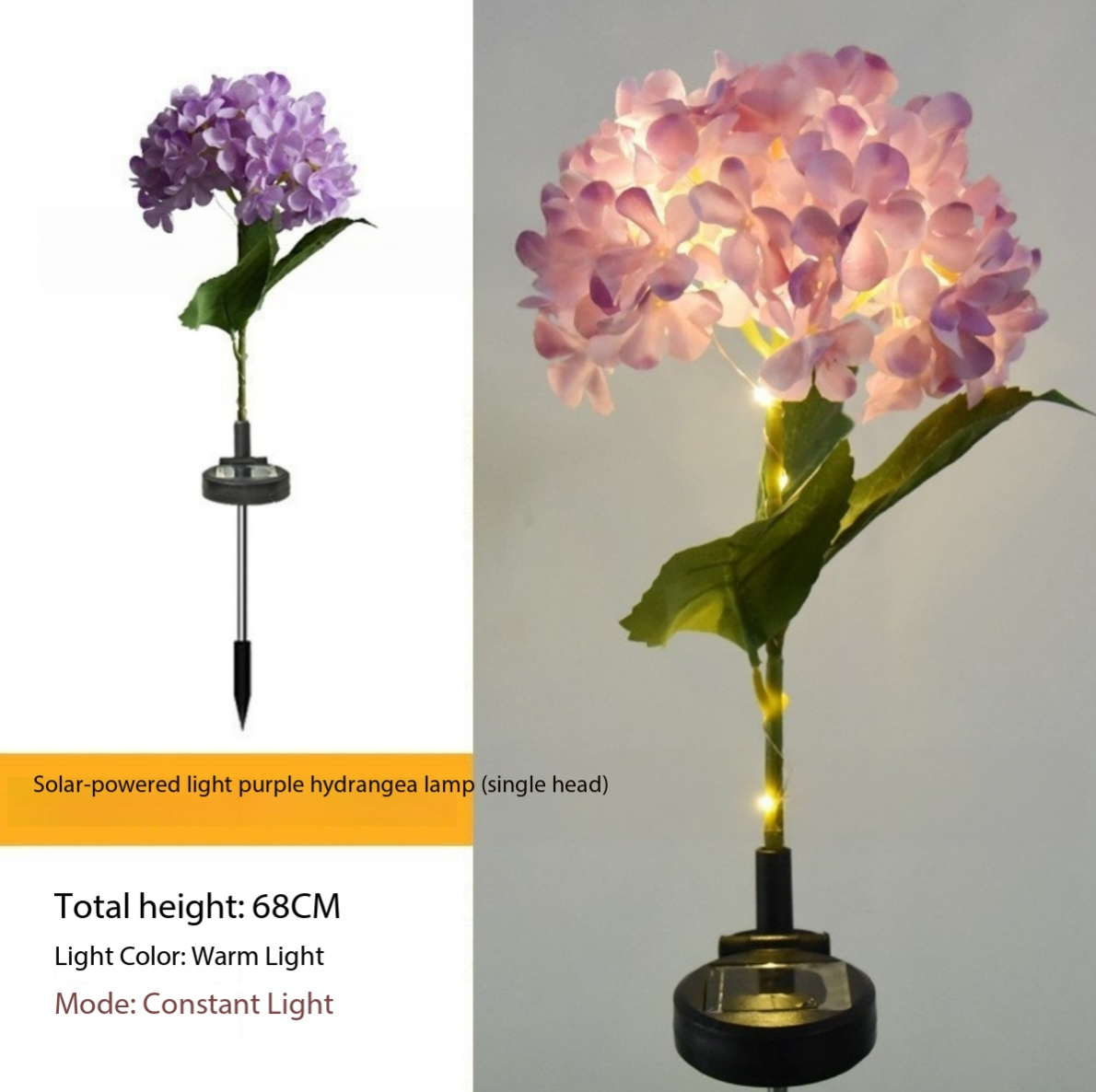 Hortensia morada de una sola cabeza