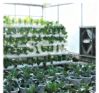 Système hydroponique NFT multi-niveaux en forme de A pour la culture de la laitue, des herbes aromatiques et des légumes à feuilles, à usage agricole