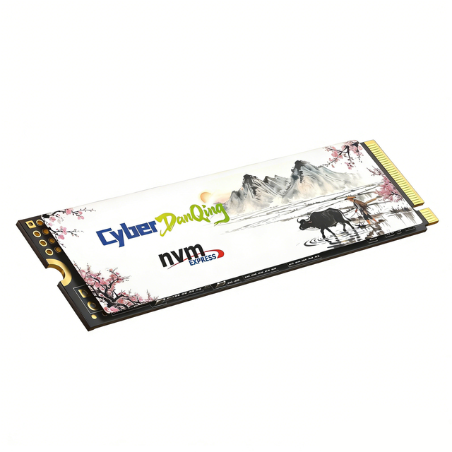 CyberDanQing Wholesale Price 256GB PCIe 3.0 M.2 SSD NVMe Transfer Files High Speed Solid State Drives for 4K Video Photo Storage
