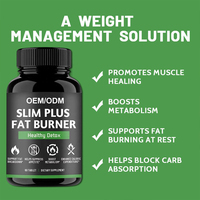 Capsules OEM Slim Plus pour la perte de poids, brûleur de graisse, soutien du métabolisme, compléments pour la santé intestinale