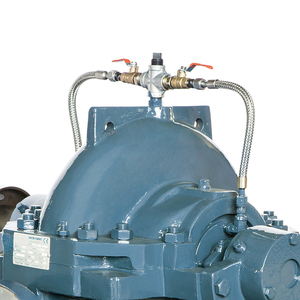 Large Capacity Horizontal Split Case Double Suction Centrifugal <b>Pump</b> With Motor - Product Image 3